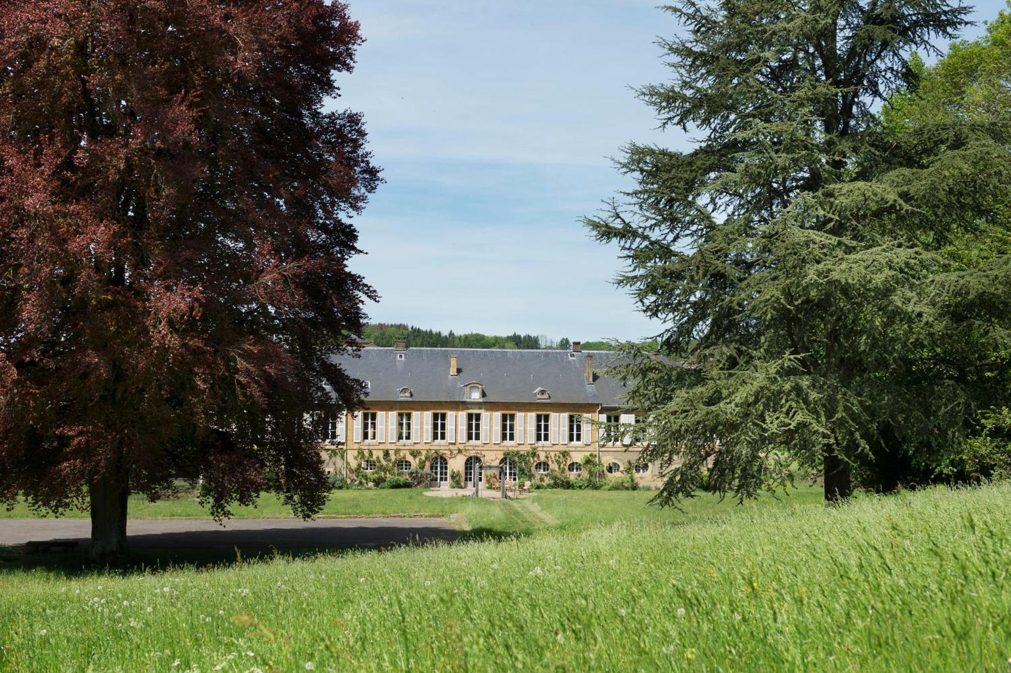Chateau De Martigny Colmey Exterior foto